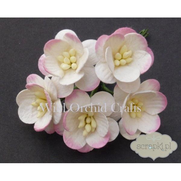 Kwiaty wiśni biało (ecru)-różowe (25mm) - 5 sztuk